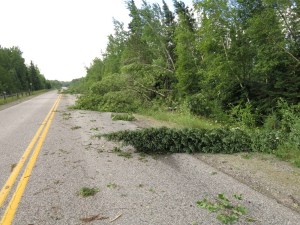 Storm damage