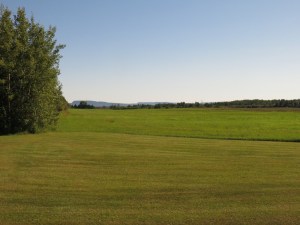 Farmland north of Thunder Bay