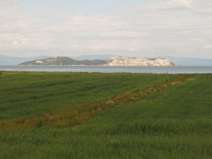 Island in the St. Lawrence