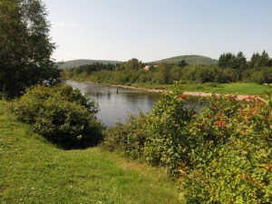 Fishing on the Matepedia