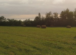 View of Confederation Bridge