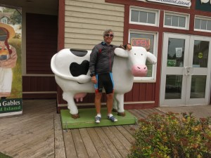 So this is where ice cream comes from