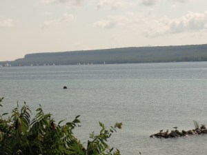 Sailboats racing in the distance