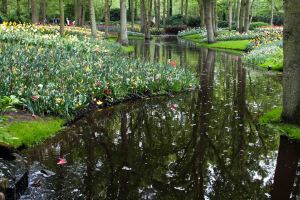 Keukenhof Gardens