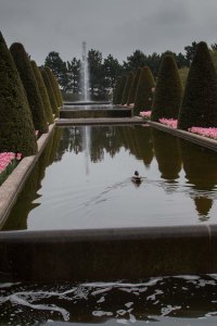 Keukenhof Gardens