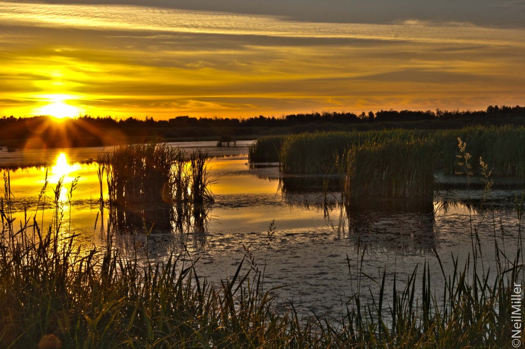 Sunrise at Lois Hole Provincial Park