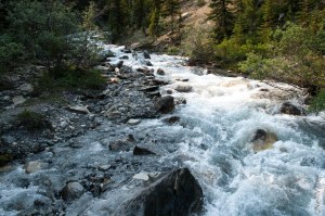 Toboggan creek