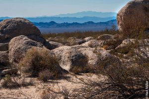Mojave Desert