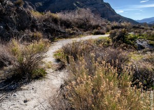 Whitewater Preserve