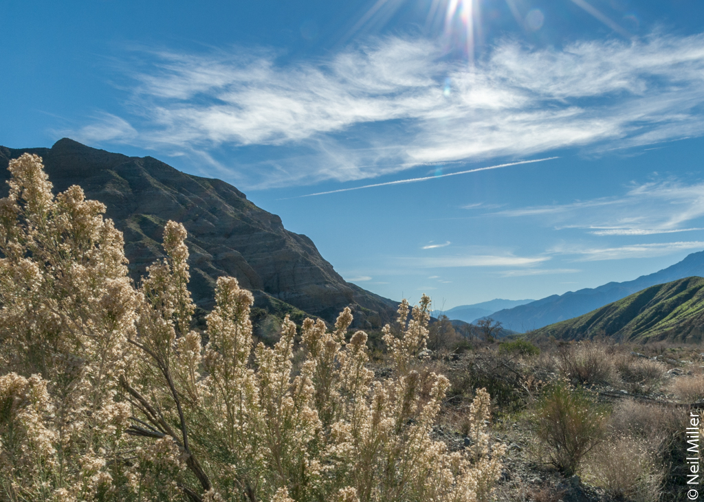 Whitewater Preserve
