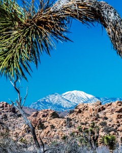 San Gorgonio