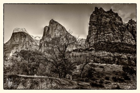 20151105-_MG_0388_6_7-Edit