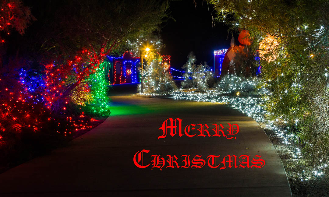 20151123-_MG_2652-Edit