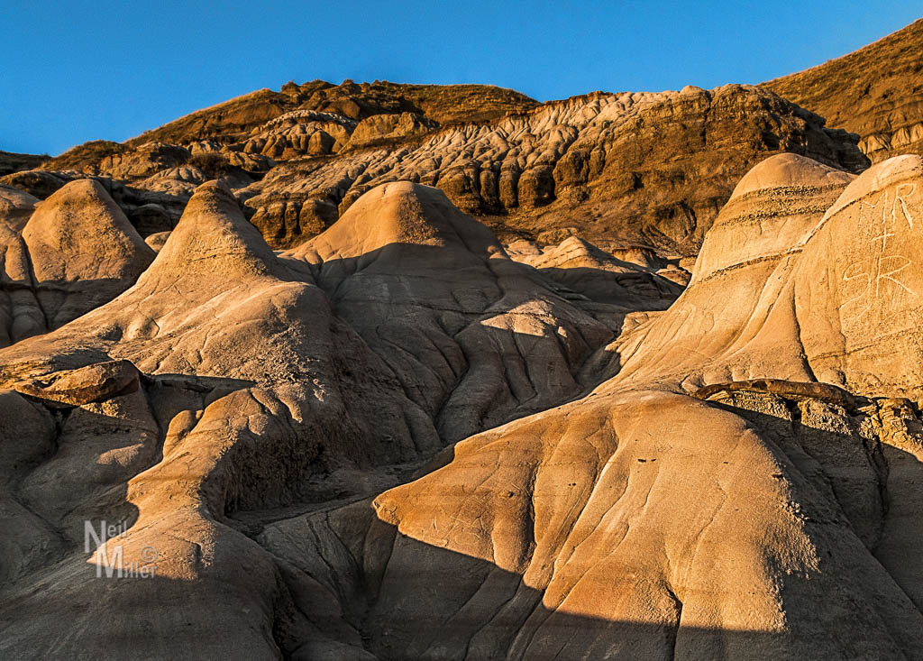 20160415-_MG_5289-Edit