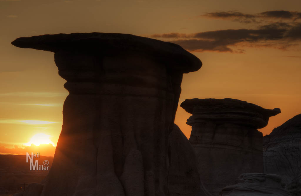 20160415-_MG_5312_3_4