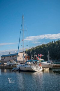 Secret Cove Marina