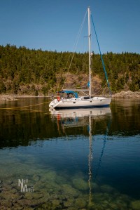 Anchored with stern line to shore