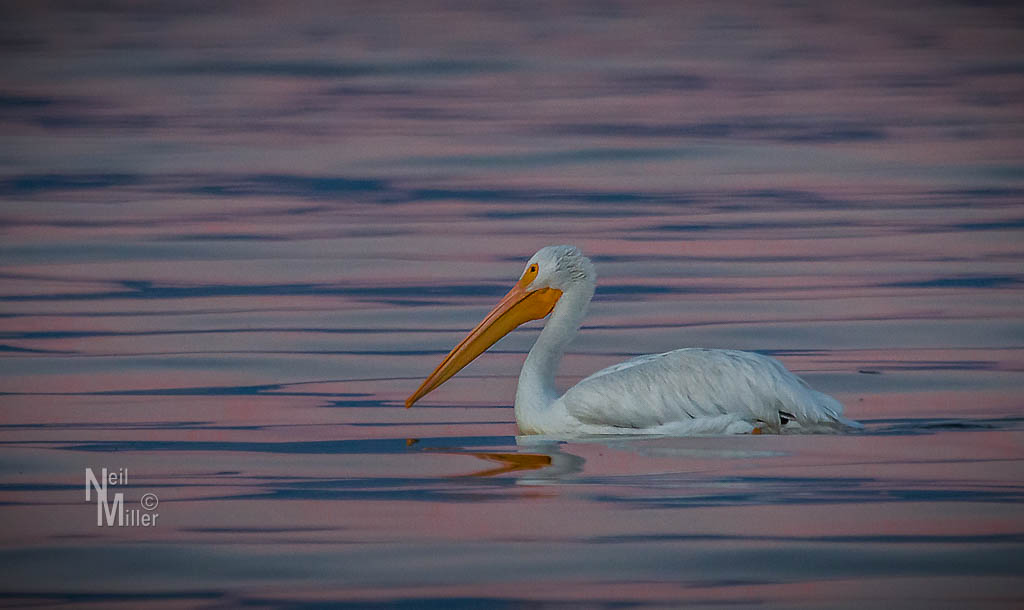 20161109-_mg_5455-edit