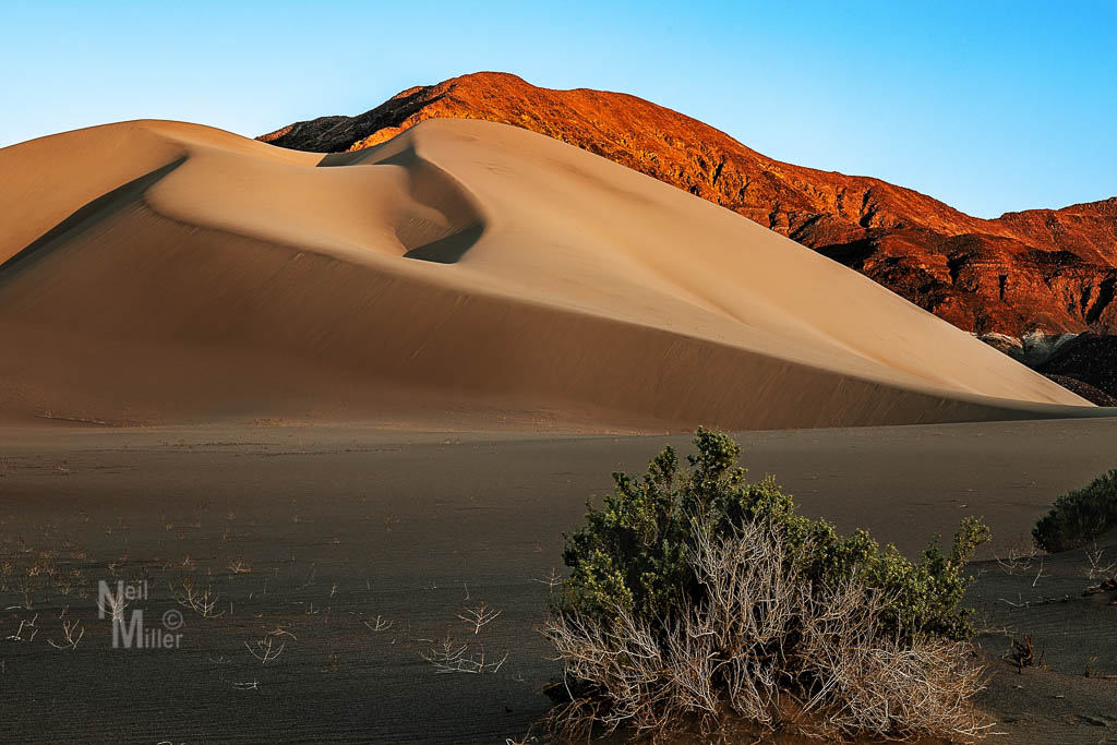 Ibex Dunes