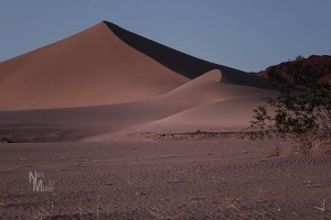 Ibex Dunes