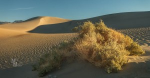 Mesquite Flats Dunes