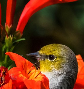 20161126-056a2703-edit