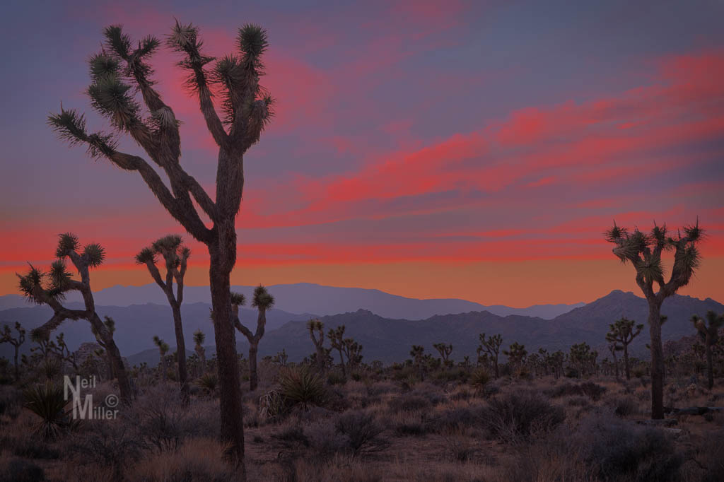 20161207-056a3094-edit