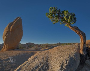 20161208-056a3276-edit