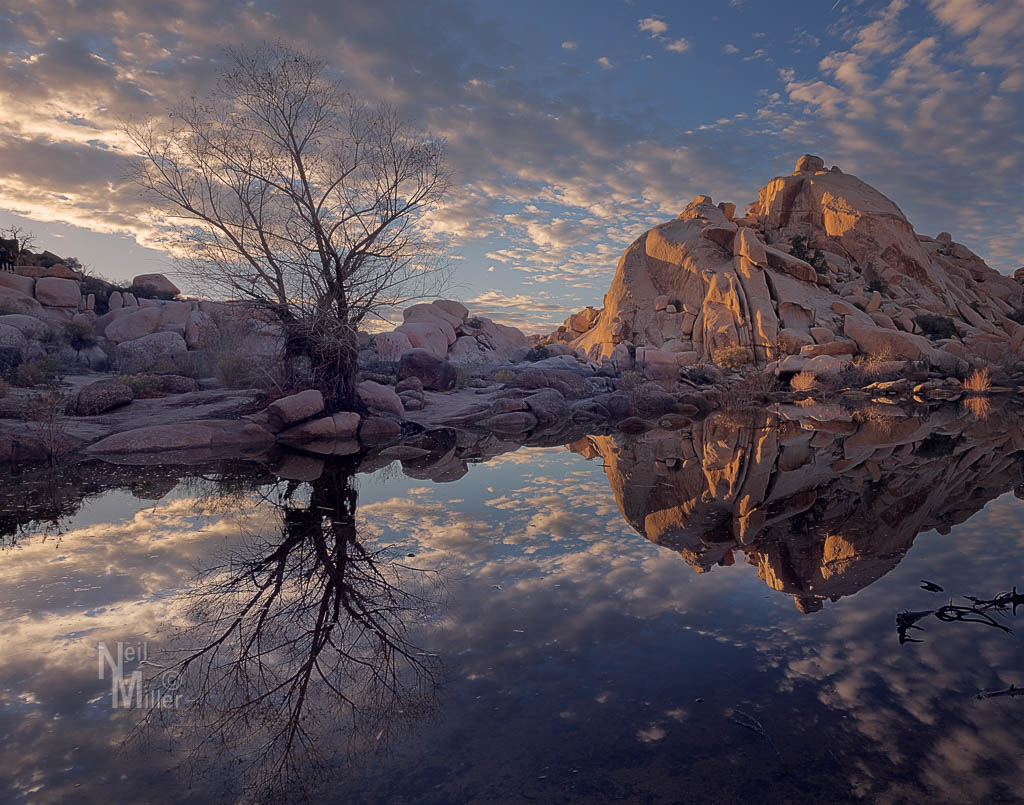 20161229-056a3917-edit