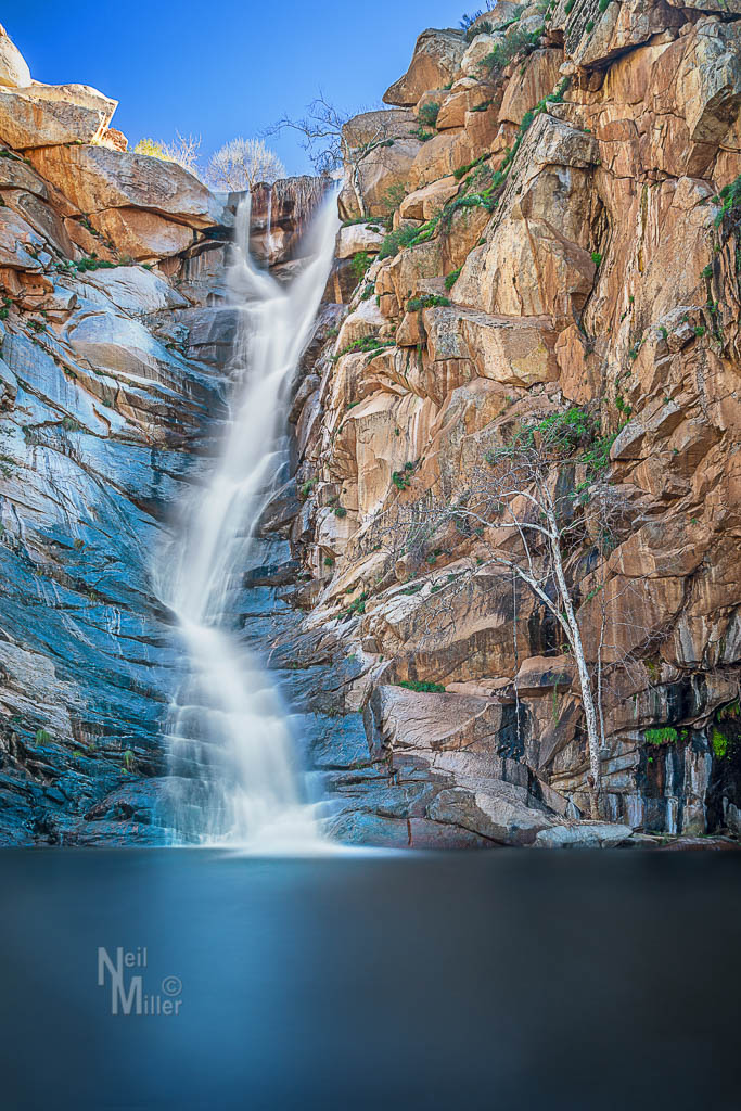 20170201-056a4771-edit