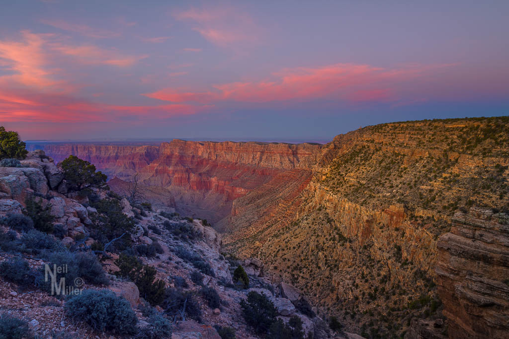 20170313-056A7529-Edit