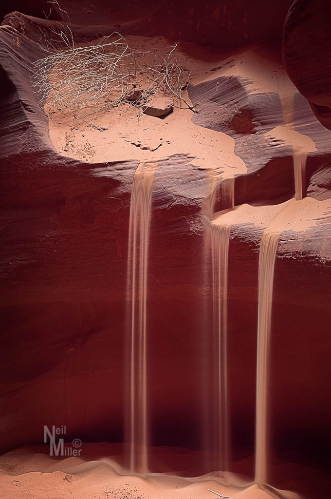 20170315-056A8417-Edit