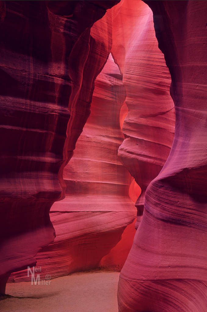 20170315-056A8549-Edit