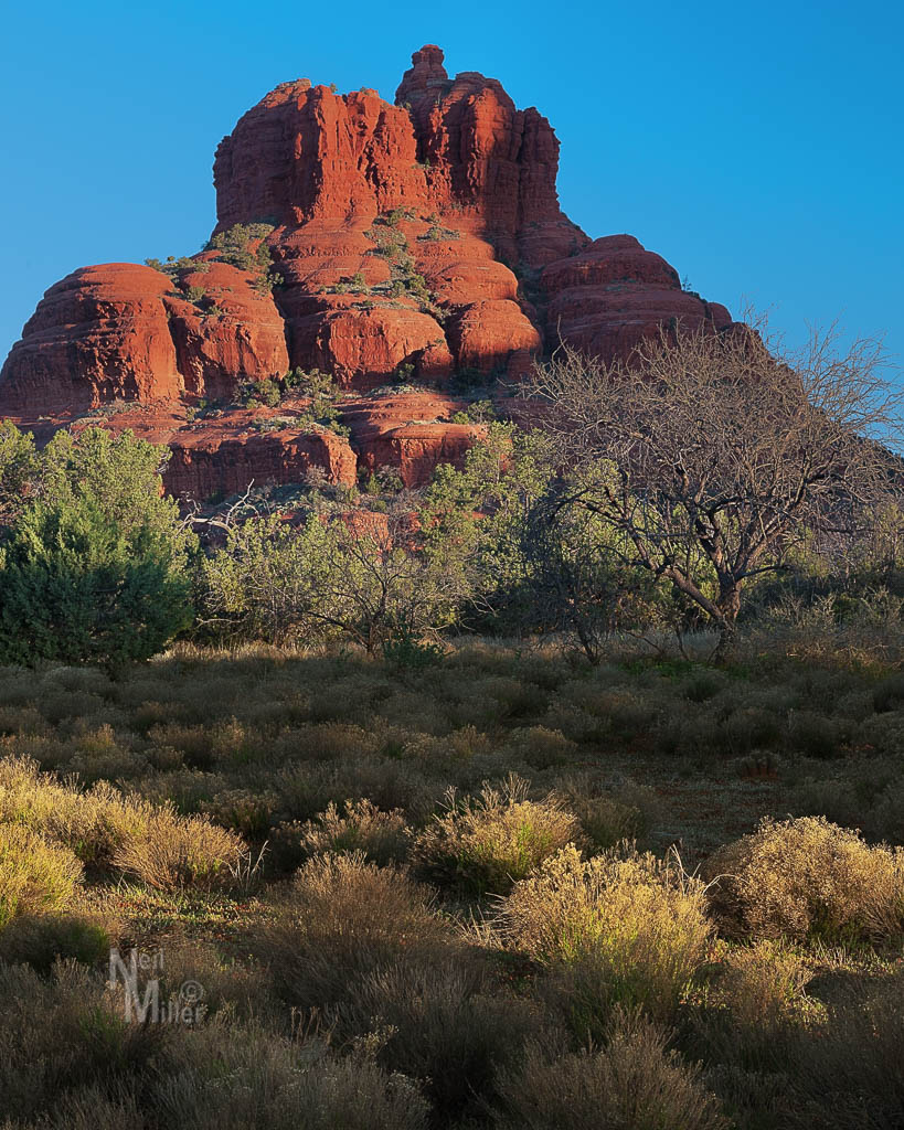 20170317-056A9098-Edit