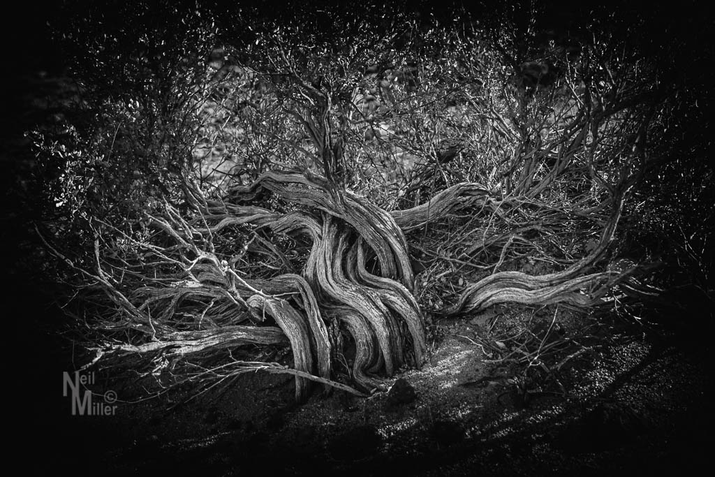 Red Rock Canyon State Park