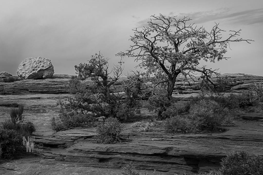 20180307-056A0648-Edit