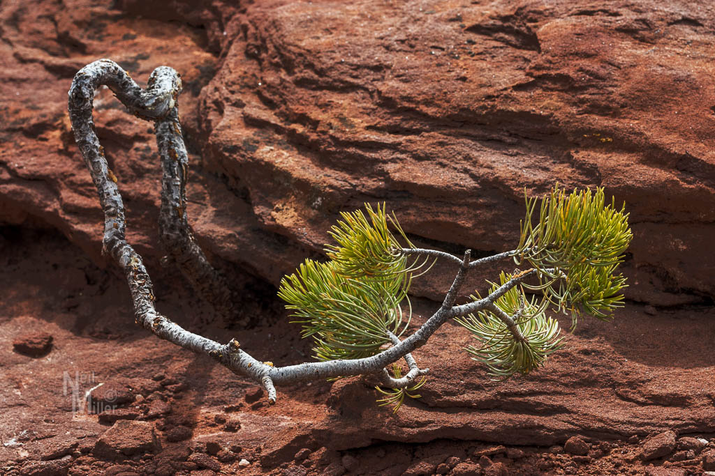 20180307-056A0649-Edit