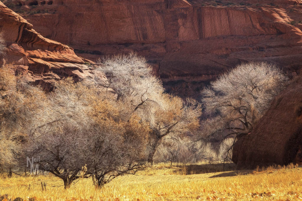 20180308-056A0795-Edit-Edit