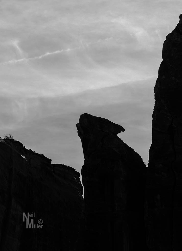 20180308-056A0805-Edit