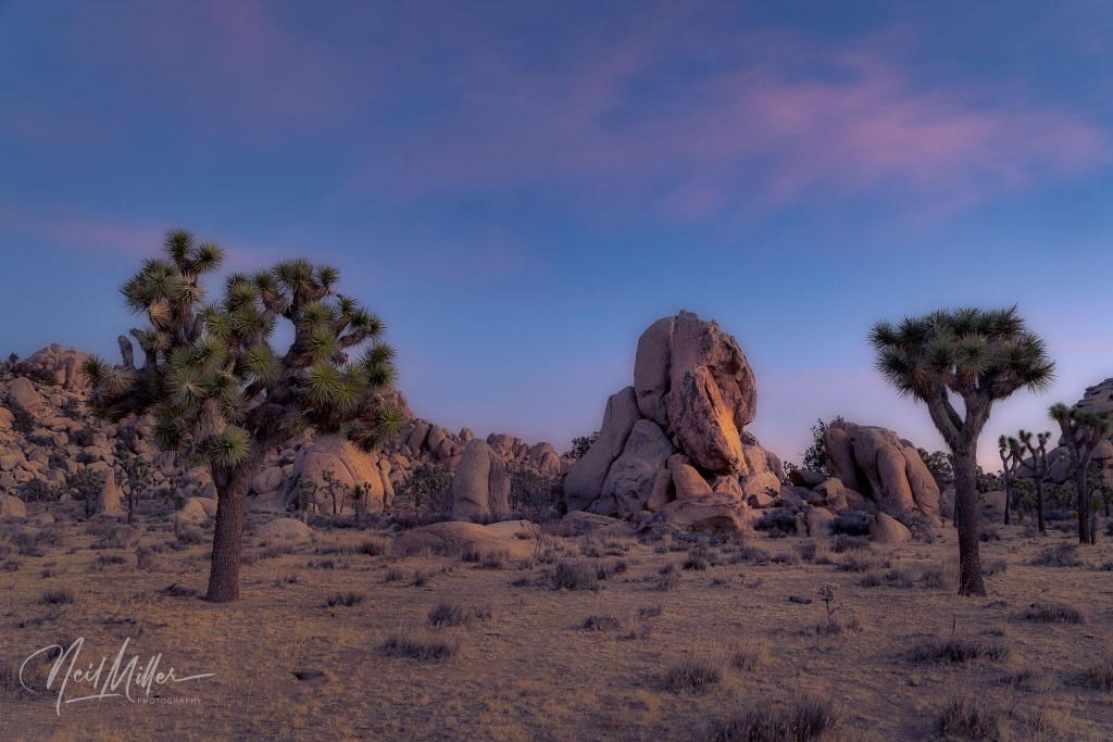 New Day, New Year, Old&nbsp;Friend