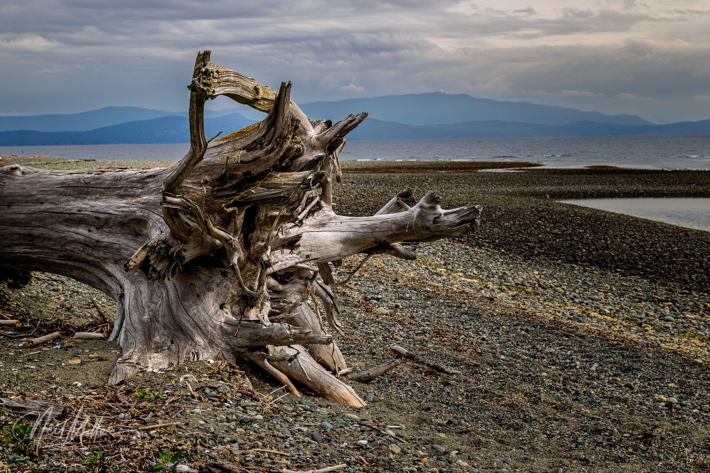 Vancouver Island Part&nbsp;2