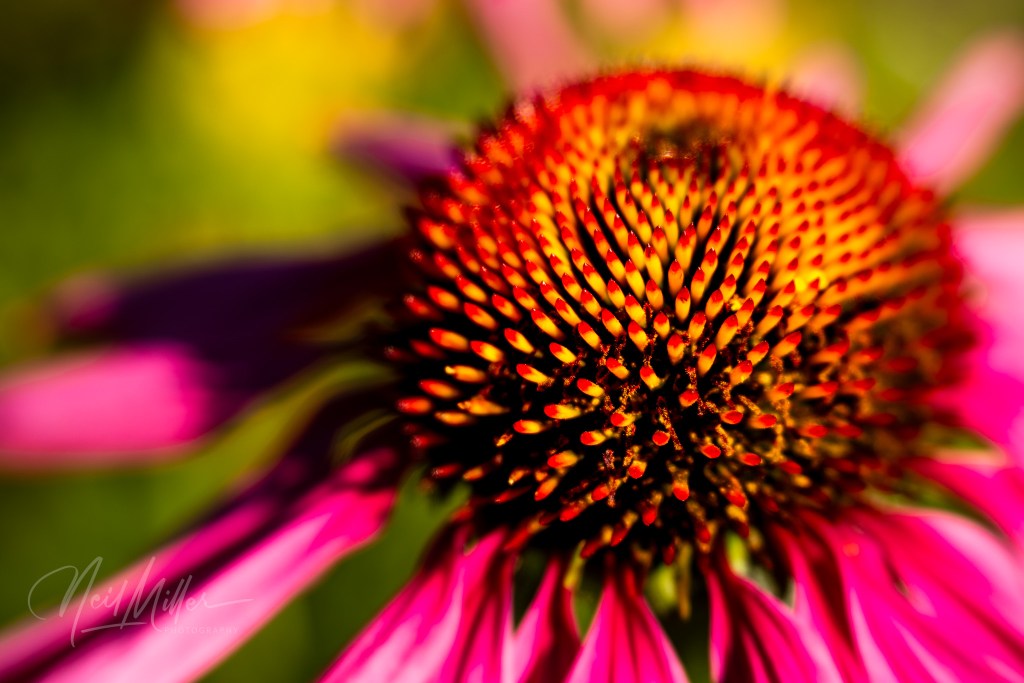 St. Albert Botanical Park
